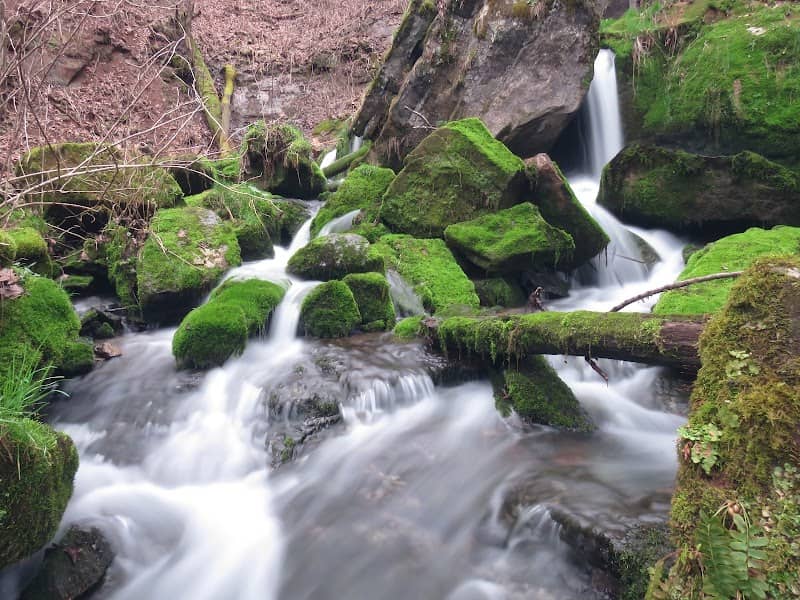 Cave River Valley Natural Area - Image 2