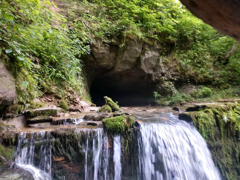 Cave River Valley Natural Area - Image 1
