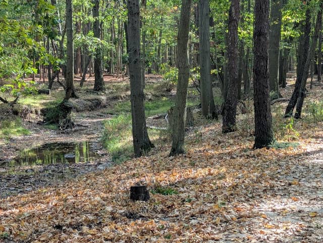 Kopf Family Reservation - Image 1