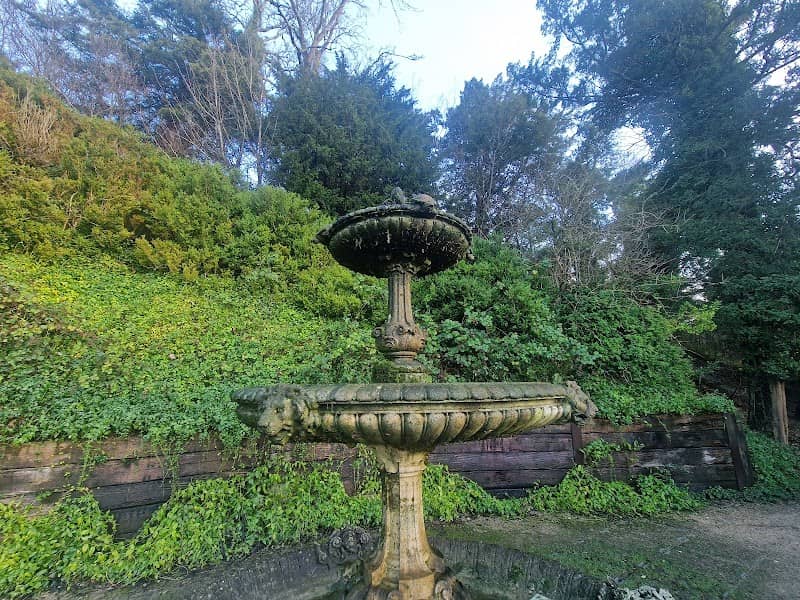 Tortoise Fountain - Image 1