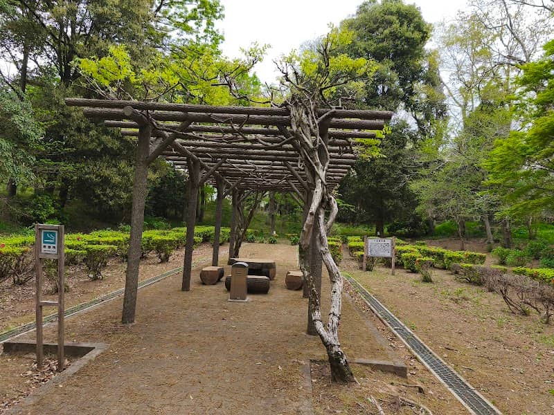 万葉植物園 - Image 2