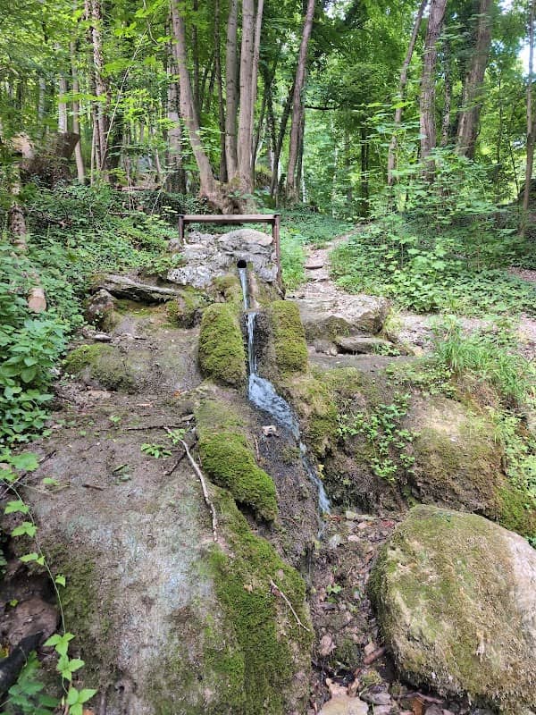 Quellbrunnen an der Almadlerhütte - Image 1