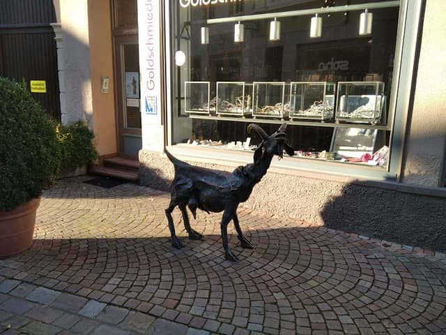 Ladenburger Ziege - Image 1