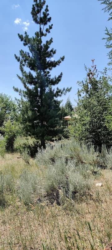 Hailey Native Plant Arboretum - Image 2