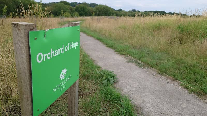 The Orchard of Hope - Image 1