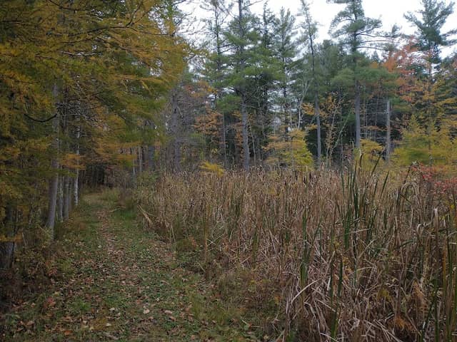 Bradford Putnam Wetlands - Image 2