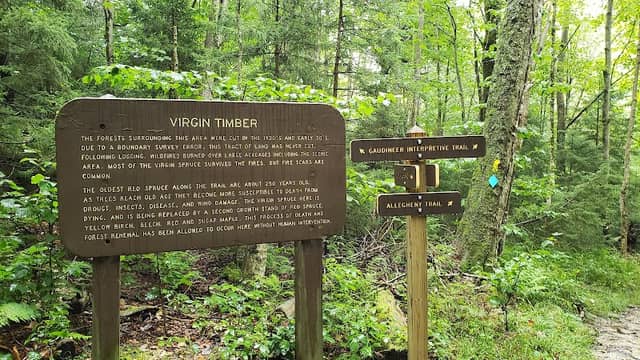 Gaudineer Scenic Area - Image 3