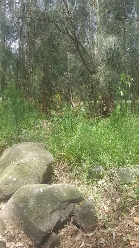 Broughton Reserve - Image 2
