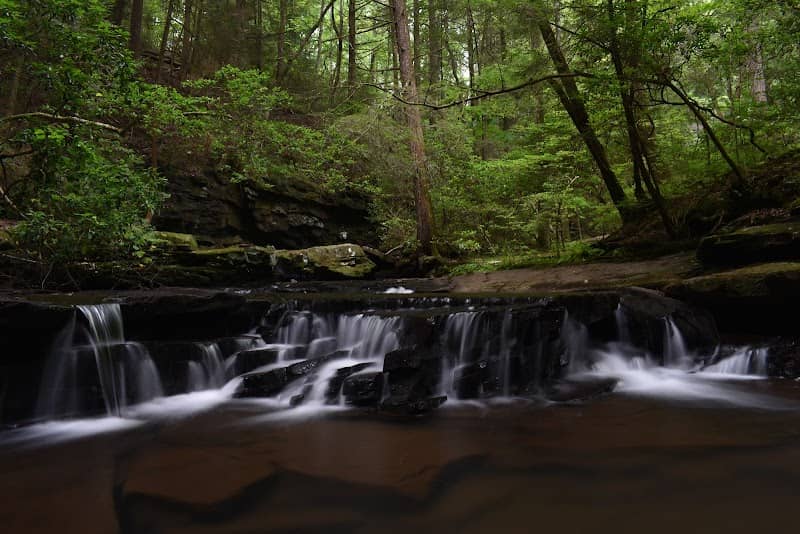 Grundy Forest State Natural Area at South Cumberland State Park - Image 2