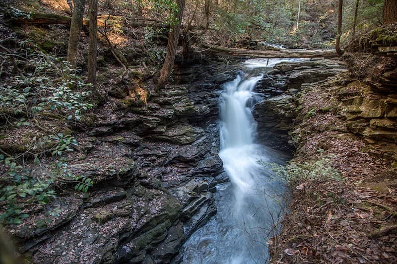 Grundy Forest State Natural Area at South Cumberland State Park - Image 3