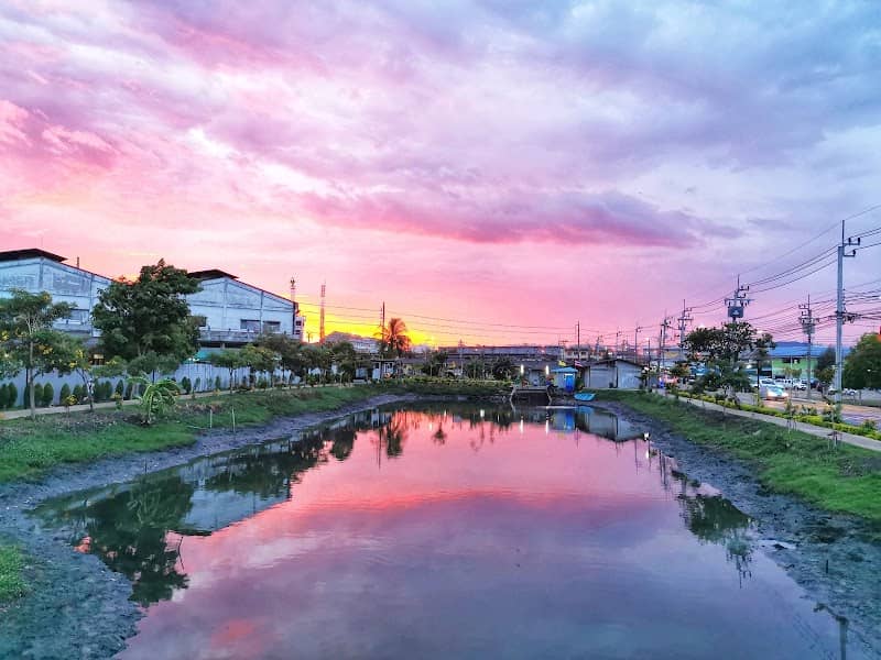 บึงรางเข้ - Image 1