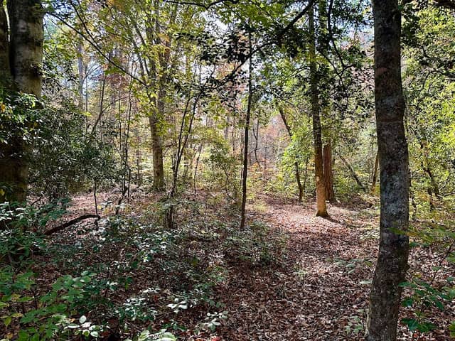 Dutchman's Creek Trailhead - Image 1