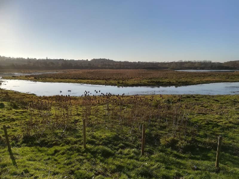 RSPB Baron’s Haugh - Image 2