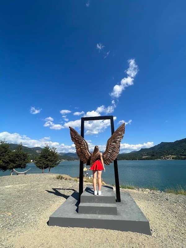 Colibita Wings Vatra - Image 1