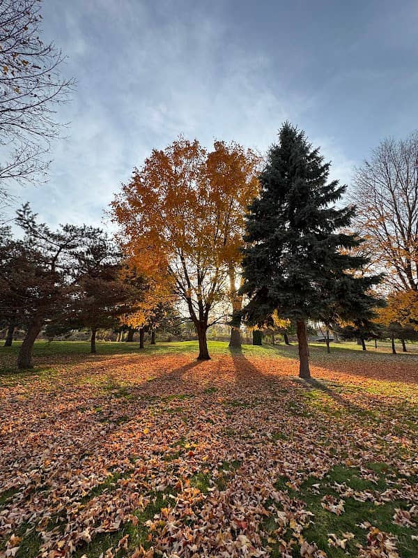 Ojibway Island - Image 2