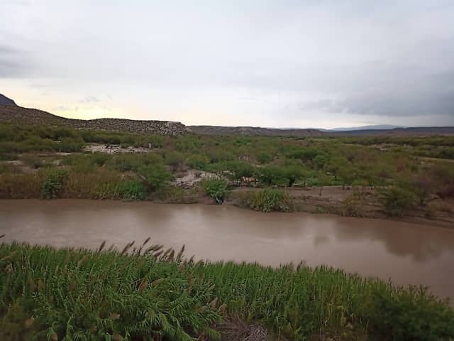 Panther Path - Image 1
