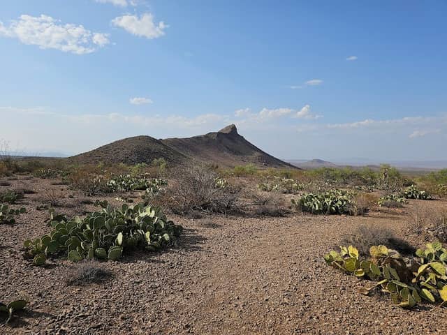 Panther Path - Image 2