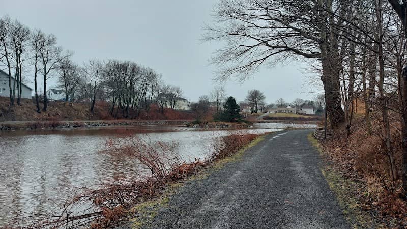 Renwick Park Walking Trail - Image 2