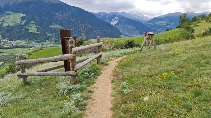 Kuhglockenorgel - Image 1