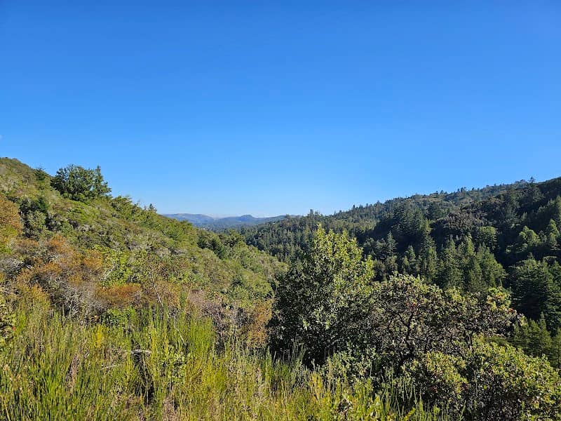 Blithedale Summit Trailhead - Image 2