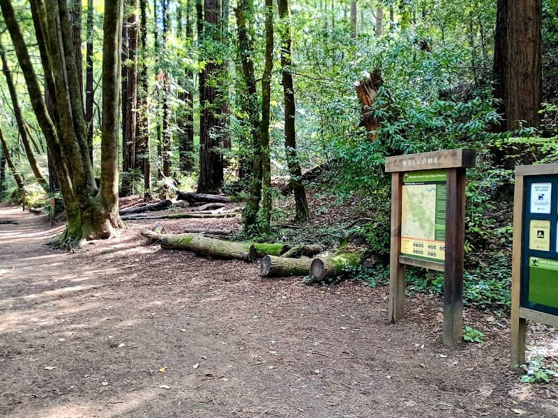 Blithedale Summit Trailhead - Image 3