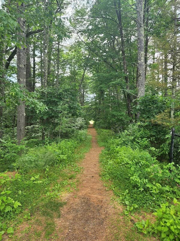 Lehtinen Park - Image 1