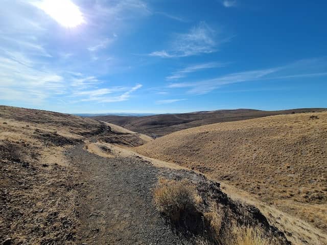 The Trees of Stone Interpretive Trailhead - Image 2