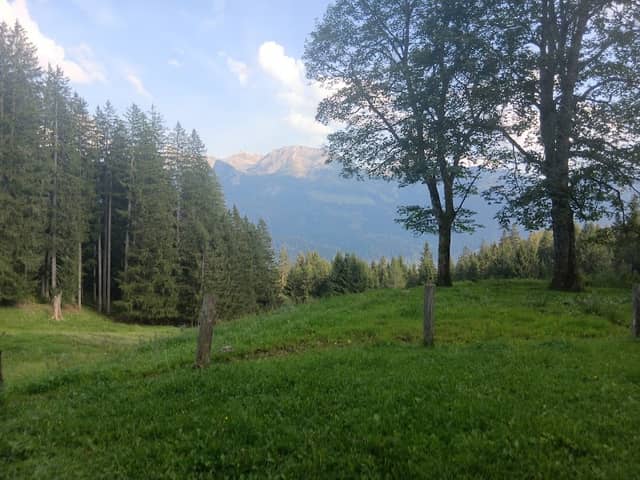Herrenroint Hütte - Image 1