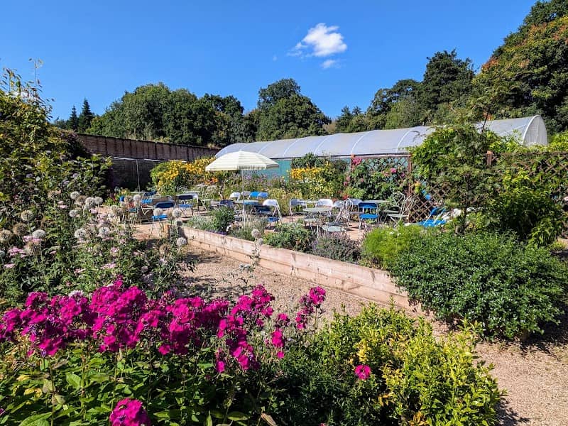 The Walled Garden - Image 1