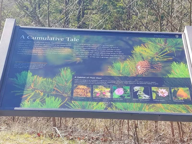 Sawmill Run Overlook - Image 2