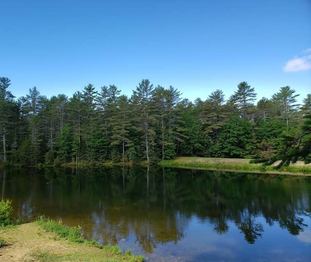 Beaver Park - Image 1