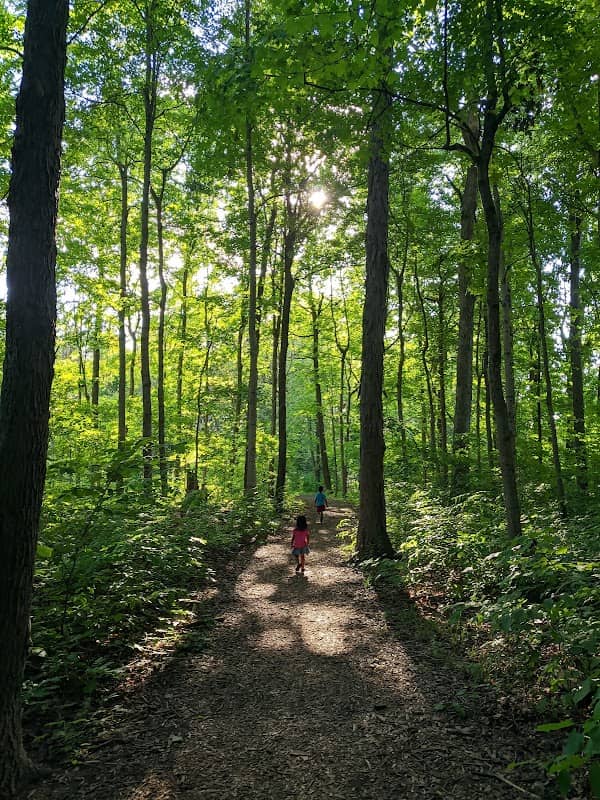 Cumberland Park South Shelter - Image 1