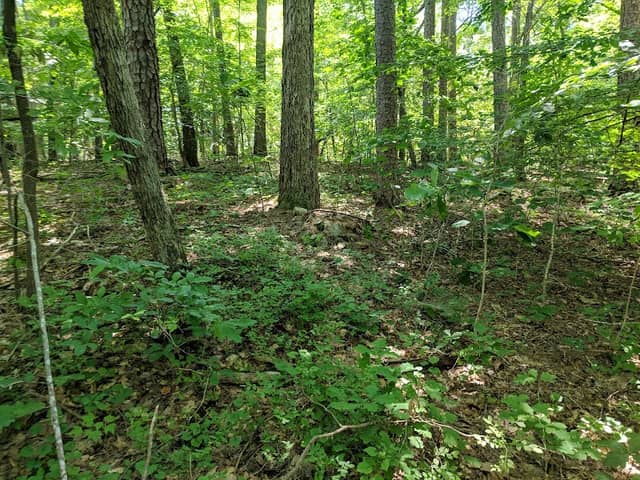 North Forest Hills Park picnic shelter - Image 2