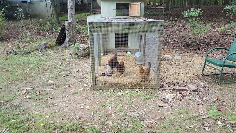 North Forest Hills Park picnic shelter - Image 1