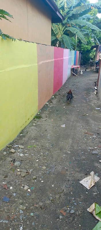 Gg warna warni - Image 1