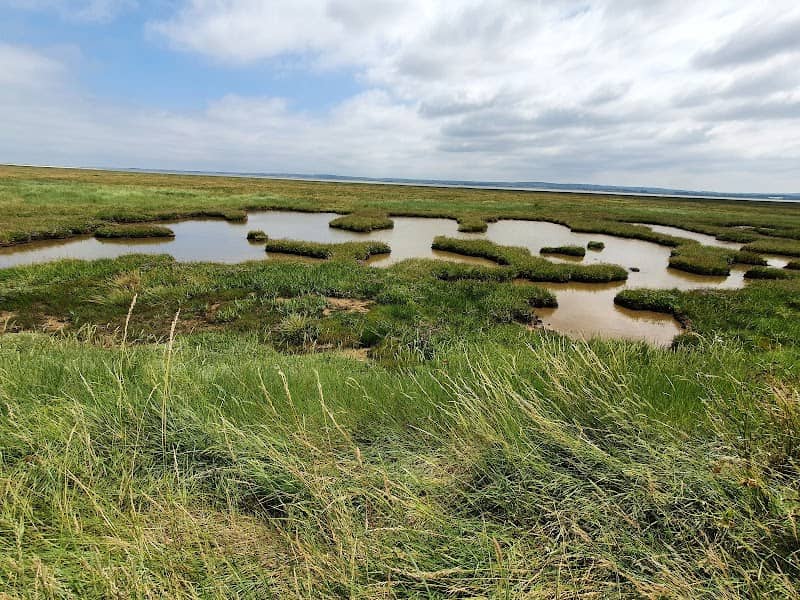 The Swale National Nature Reserve - Image 3