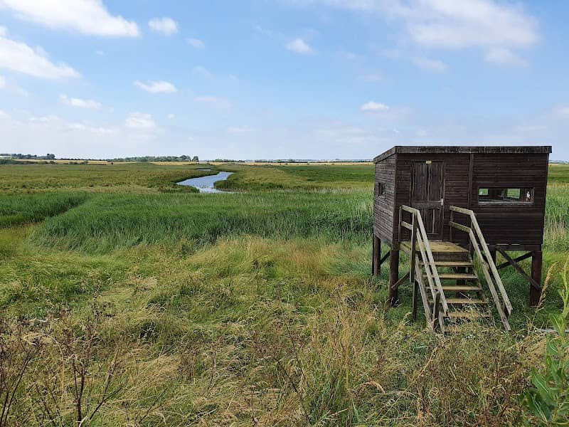 The Swale National Nature Reserve - Image 2