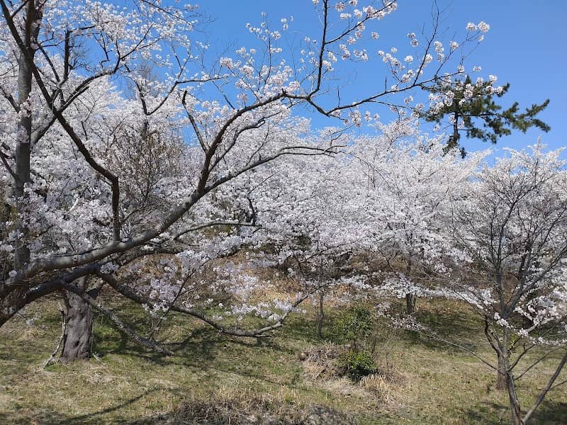 Shirokoyama Park - Image 1