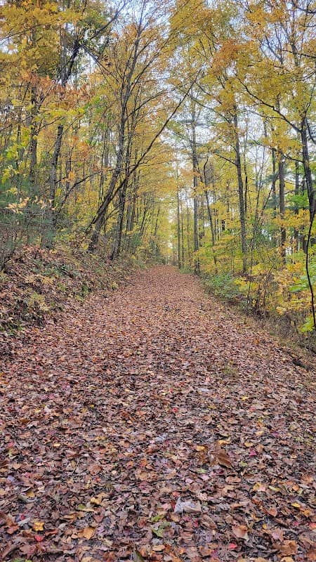 Unicoi Gap BMT - Image 1