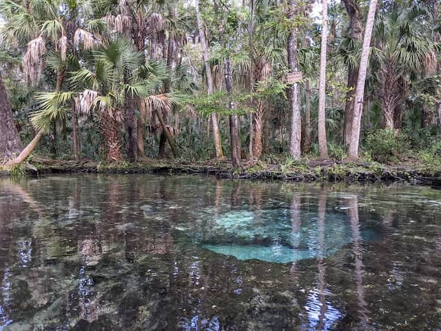 7 Sisters Springs - Image 3