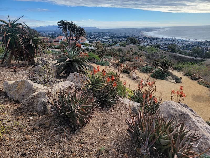 Ventura Botanical Gardens - Image 3