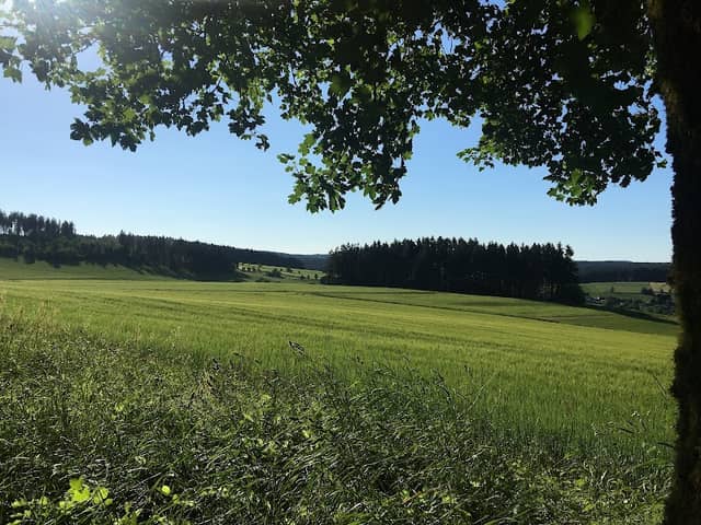 Sonnenweg, wunderschöner Frankenwald - Image 1