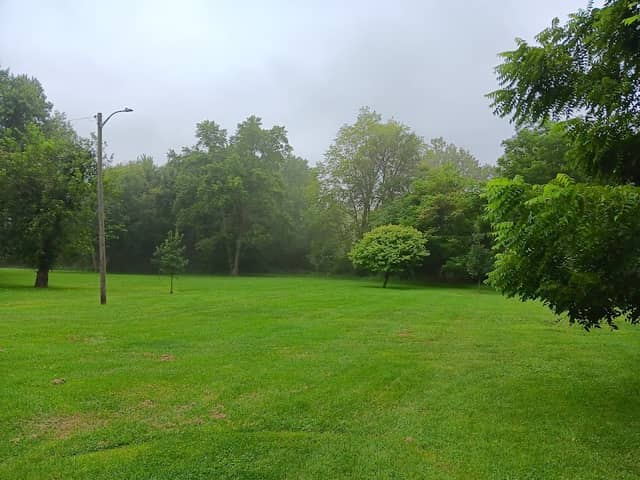 Elmwood Park - Image 2