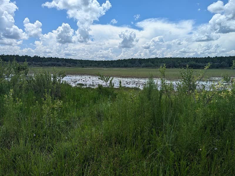 Grassy Pond Recreation Area - Image 1