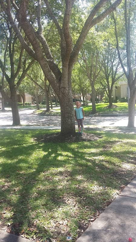 The Crossing Park - Image 2