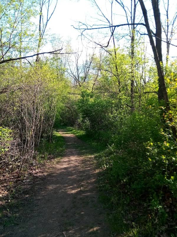 Wildlife Drive Neighborhood Park - Image 1