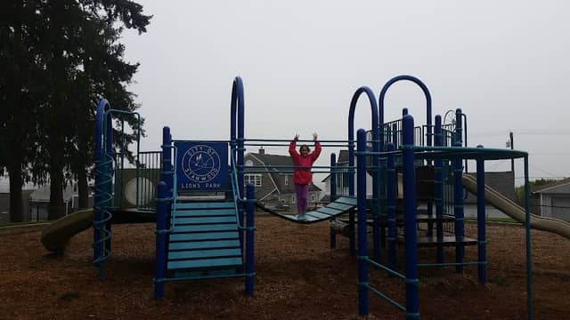 Lions Park - Image 1