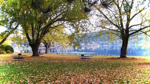 Bloedel Donovan Park - Image 1