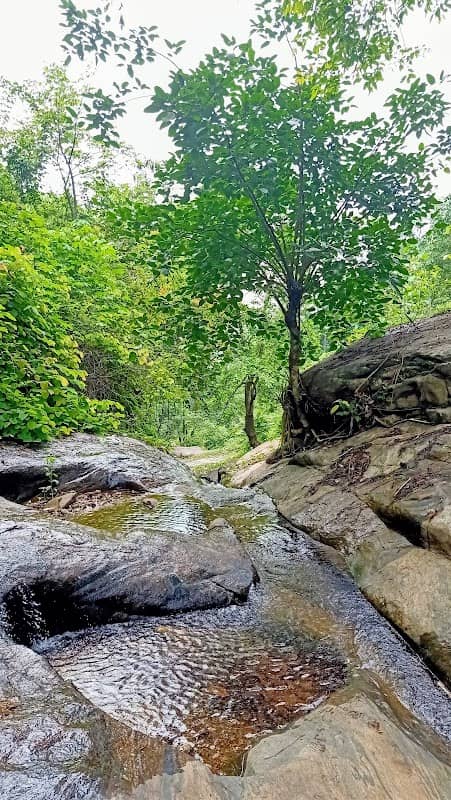 Bheeman kuzhi Waterfalls, ഭീമൻ കുഴി വെള്ളച്ചാട്ടം, - Image 1