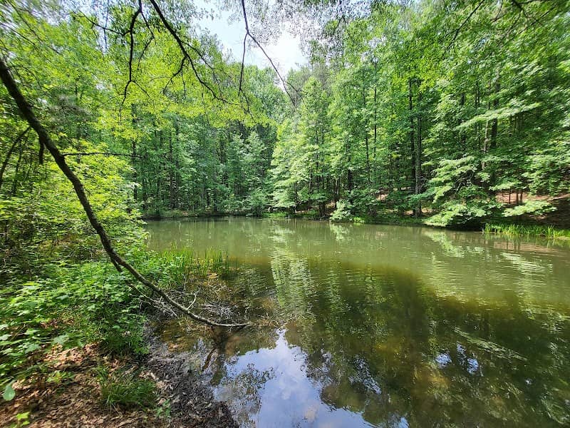 Lake on Evans Mill Trail - Image 2